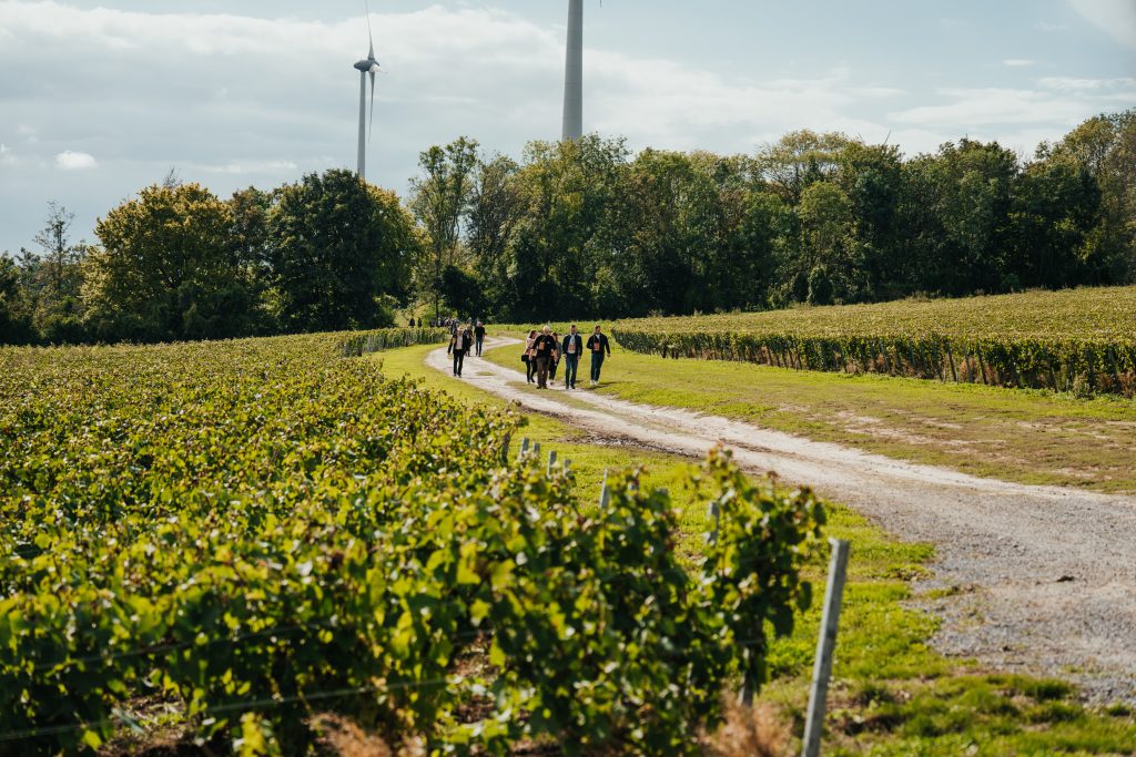 La première édition des Foulées des Vignes aura lieu le vendredi 1er mai.
