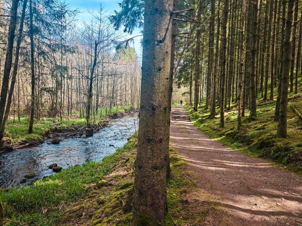 Trail Running Haute Ardenne