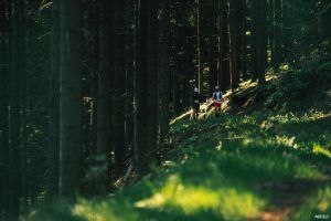 Un format 100 miles fait de retour sur le Grand Trail des Lacs & Châteaux 2026