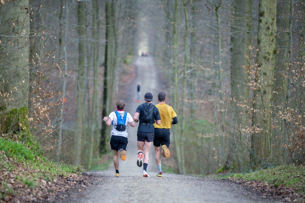 Marathon Forêt de Soignes
