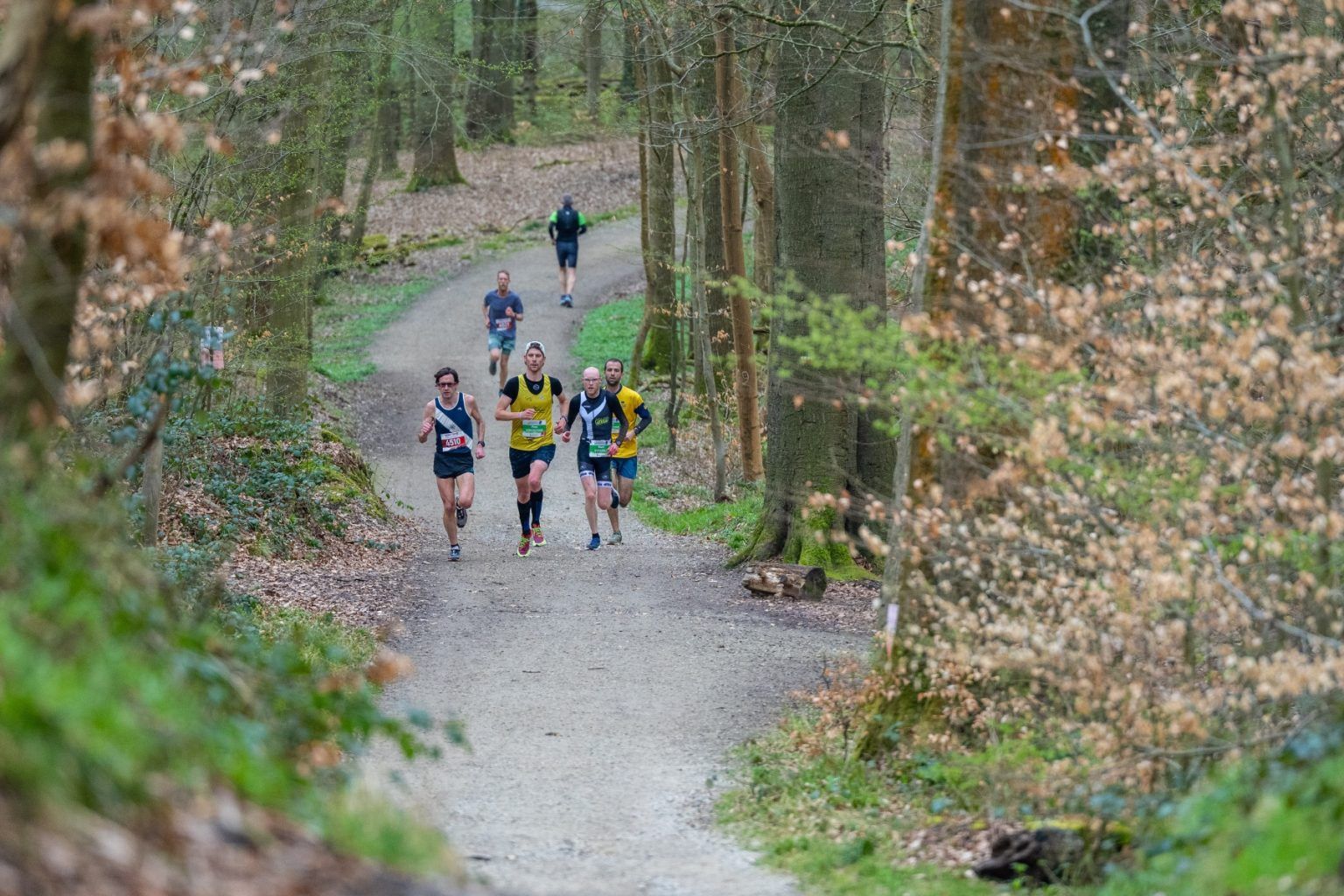 Marathon de la Forêt de Soignes