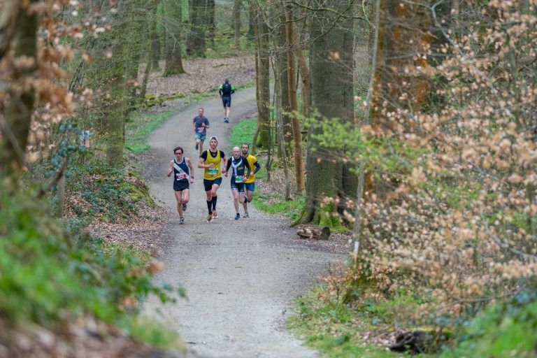 Marathon de la Forêt de Soignes